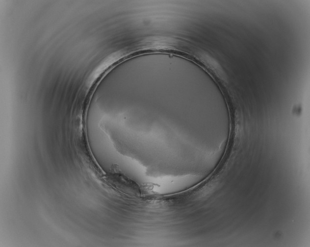 X0000113221226200910011337