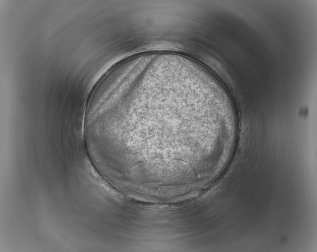 X0000113221228200910011337