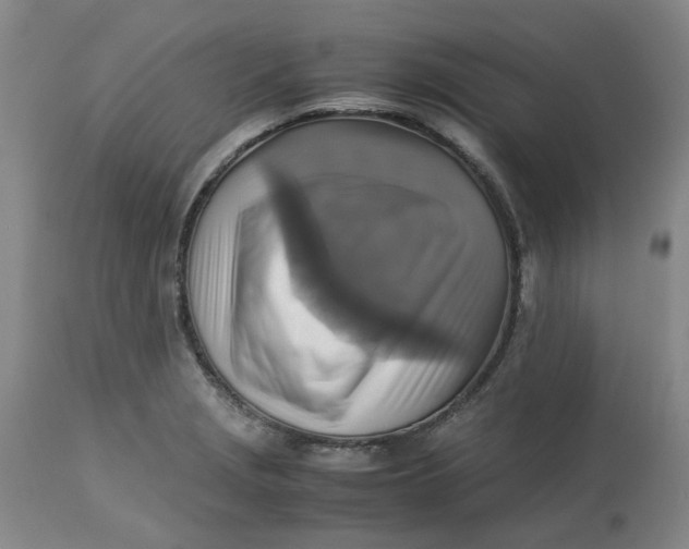 X0000113221229200910011337