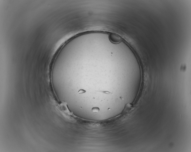 X0000113221230200910011337