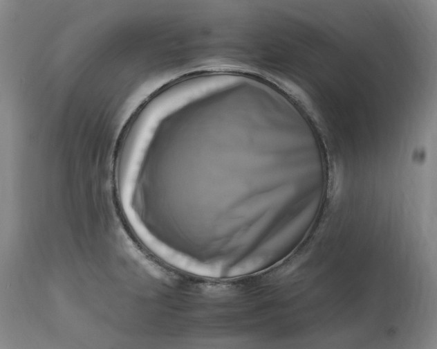 X0000113221231200910011337