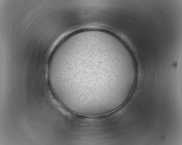 X0000113221232200910011337