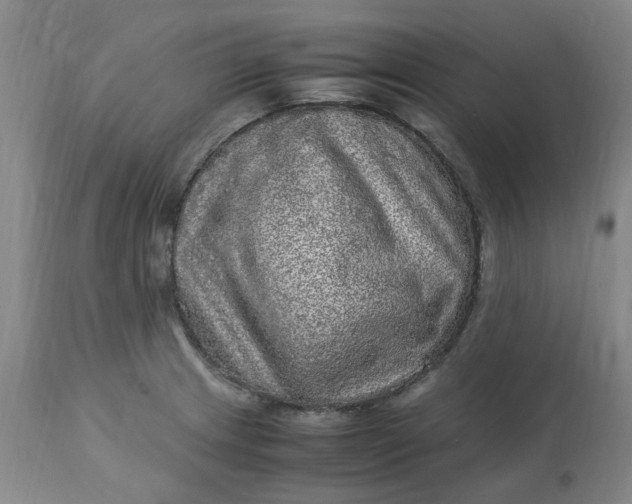 X0000113221233200910011337