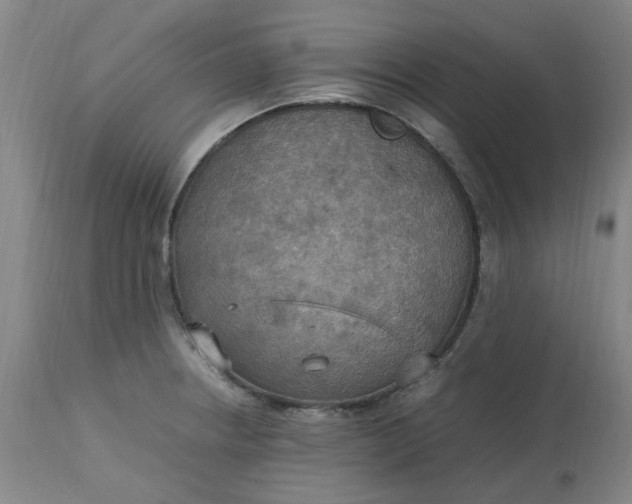 X0000113221234200910011337