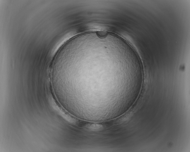 X0000113221235200910011337