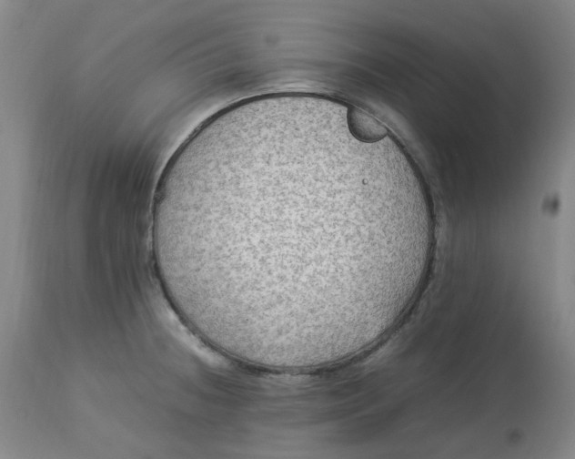 X0000113221236200910011337