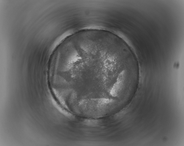 X0000113221237200910011337