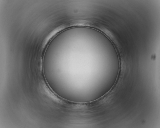 X0000113221238200910011337