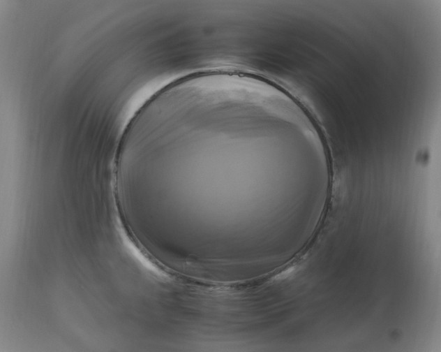 X0000113221239200910011337