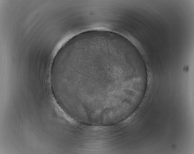 X0000113221240200910011337