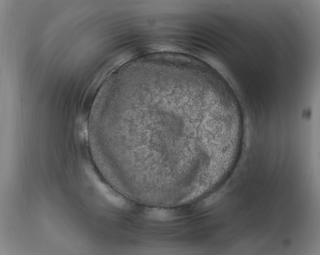 X0000113221241200910011337