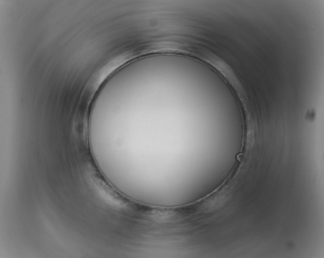 X0000113221242200910011337