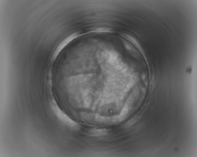 X0000113221243200910011337