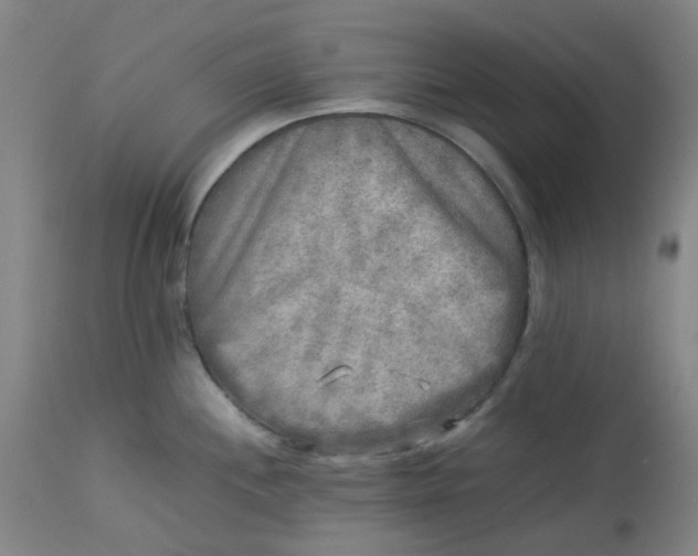 X0000113221244200910011337