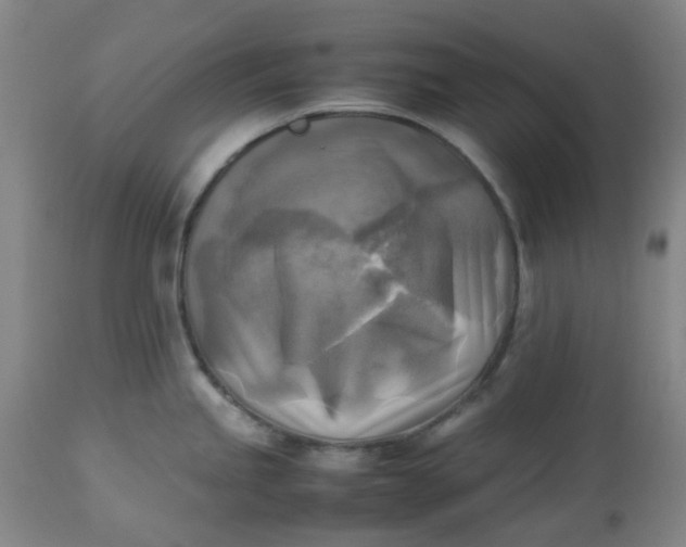 X0000113221245200910011337