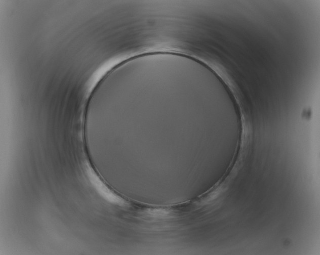 X0000113221246200910011337