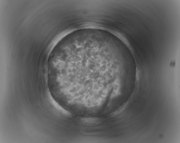 X0000113221247200910011337