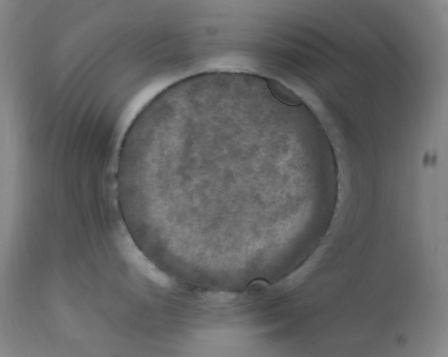 X0000113221248200910011337