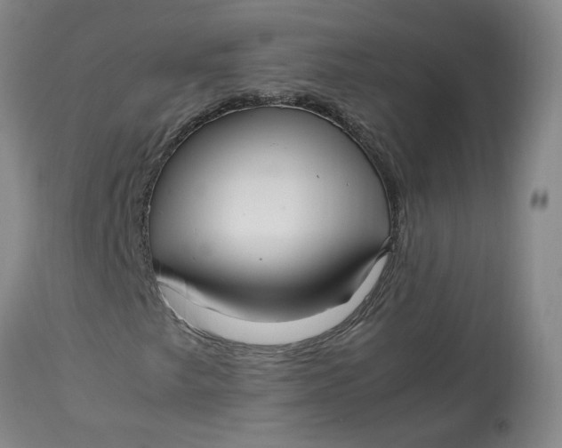 X0000113221249200910011336