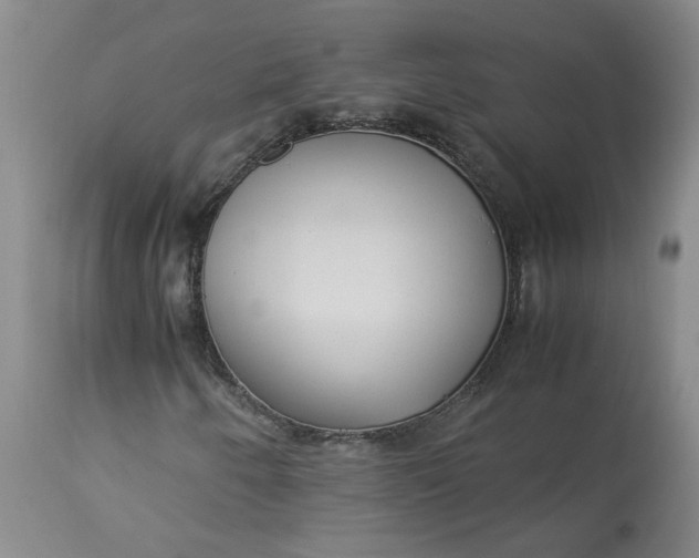 X0000113221250200910011336