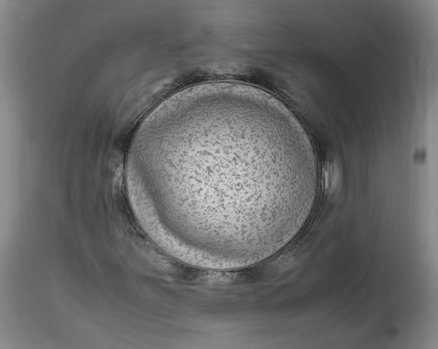 X0000113221251200910011336