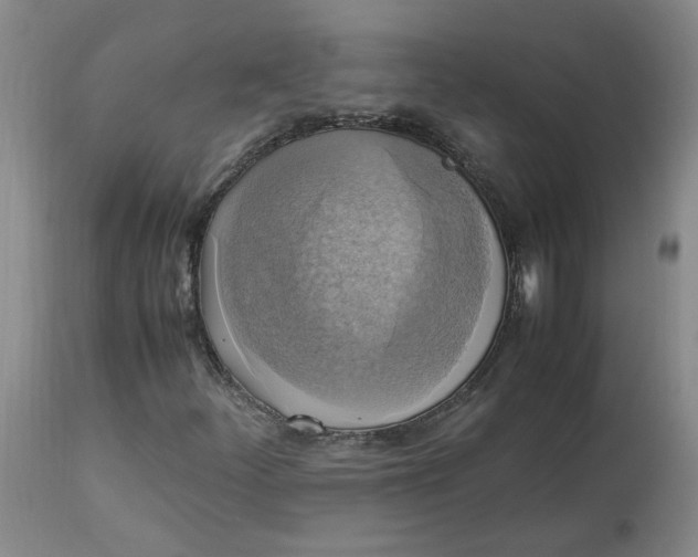 X0000113221252200910011336