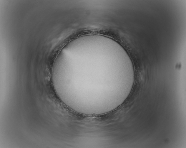 X0000113221253200910011336