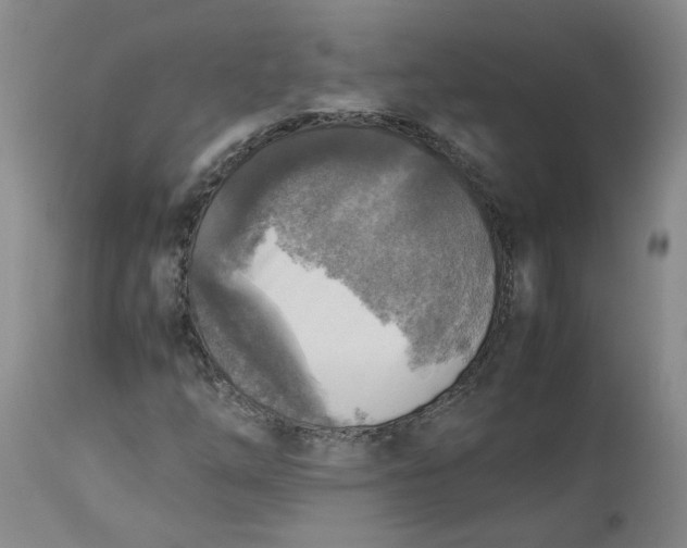 X0000113221254200910011336