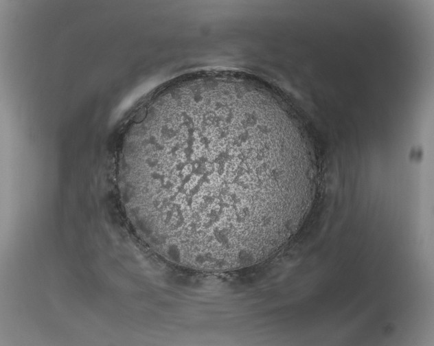 X0000113221255200910011336