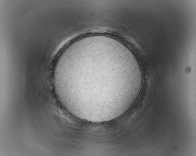 X0000113221256200910011336