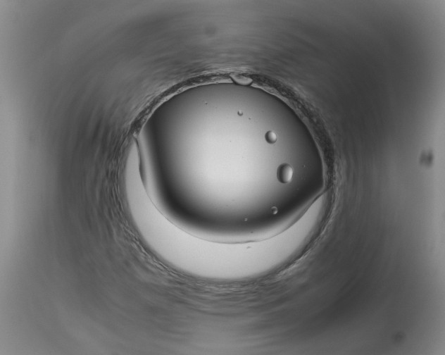 X0000113221257200910011336