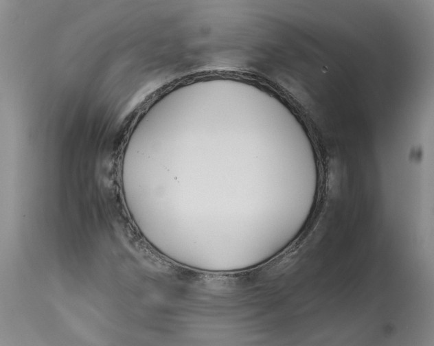 X0000113221258200910011336