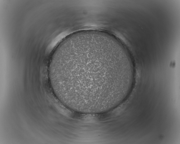 X0000113221259200910011336