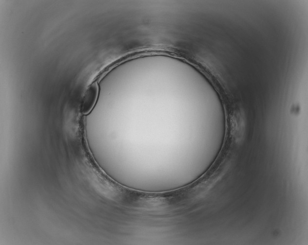 X0000113221260200910011336