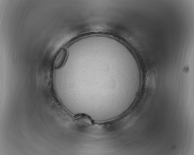 X0000113221261200910011336