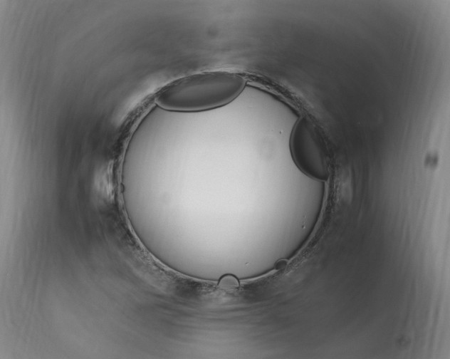 X0000113221262200910011336