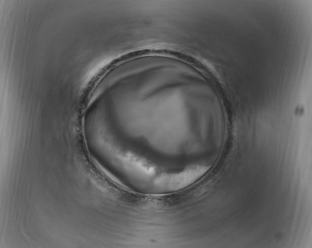 X0000113221263200910011336