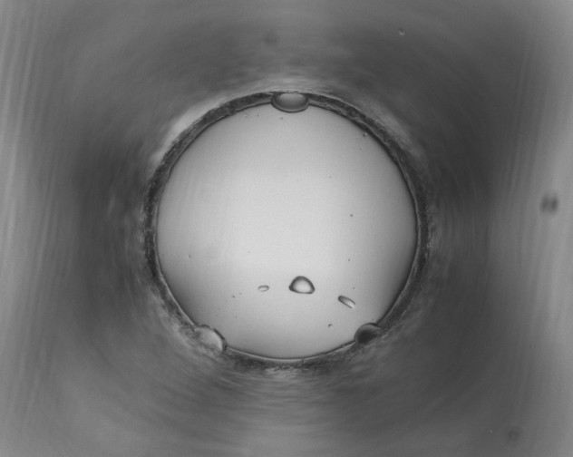 X0000113221264200910011336