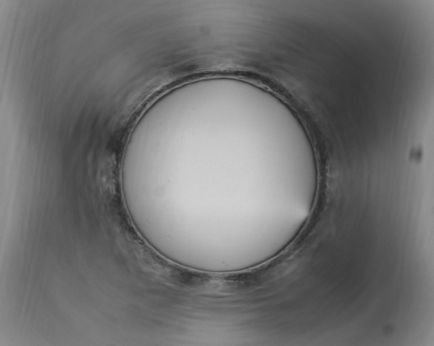 X0000113221265200910011336