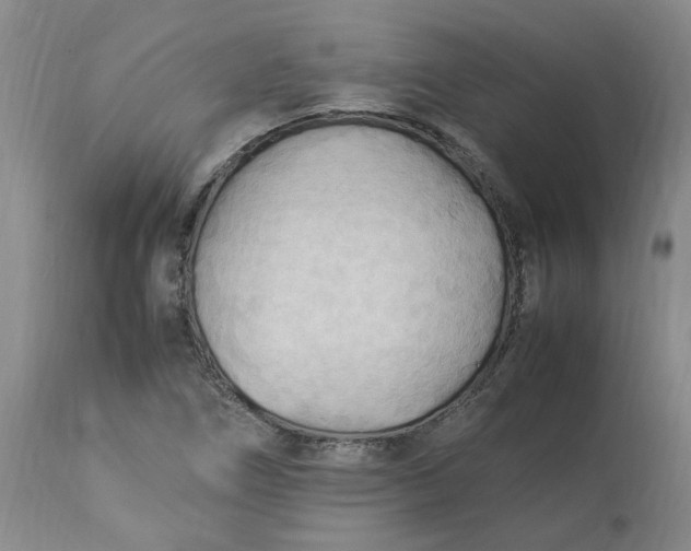 X0000113221266200910011336