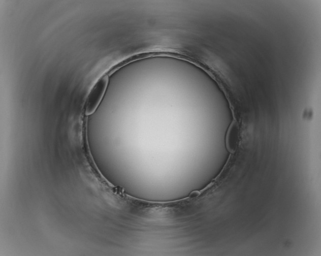 X0000113221268200910011336