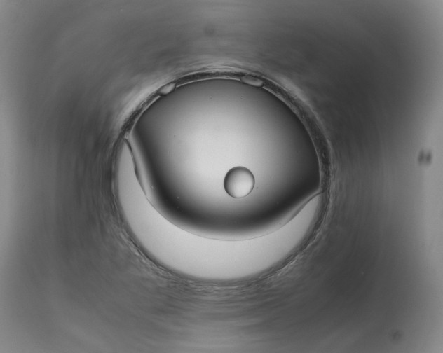 X0000113221269200910011336