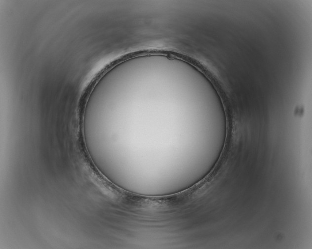 X0000113221270200910011336