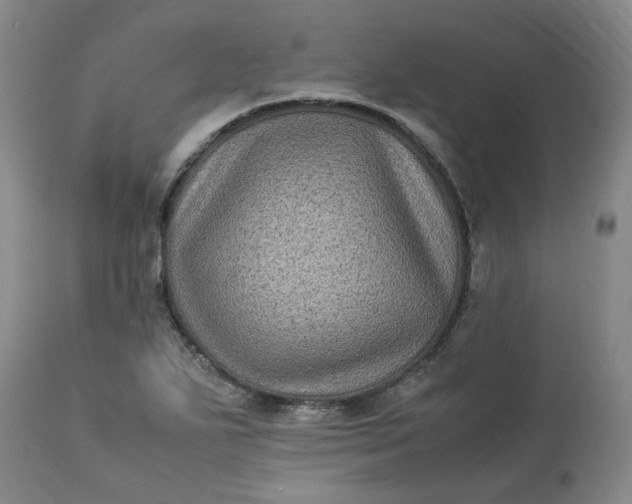 X0000113221271200910011336