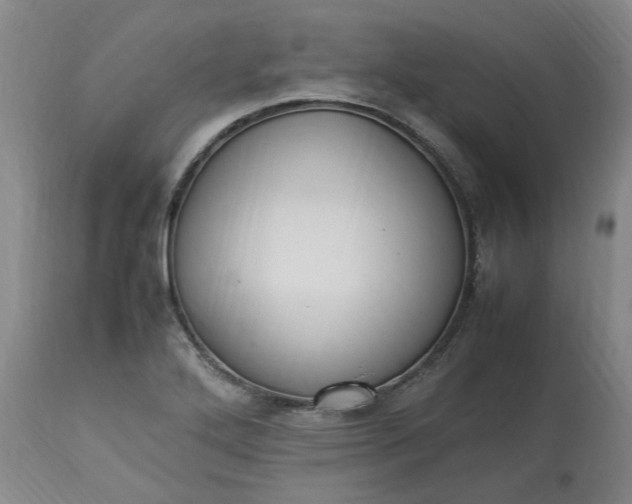 X0000113221272200910011336