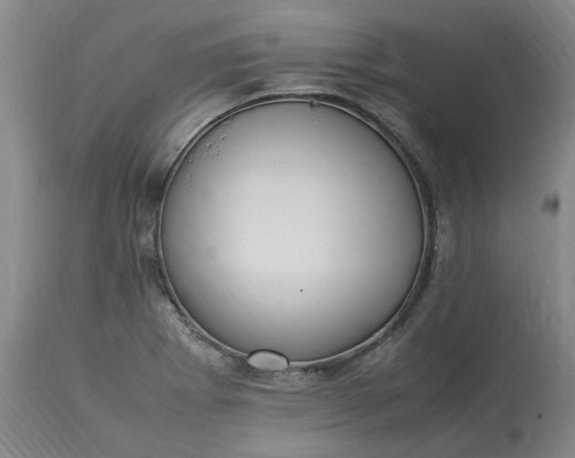 X0000113221273200910011336