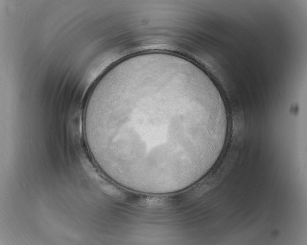 X0000113221274200910011336