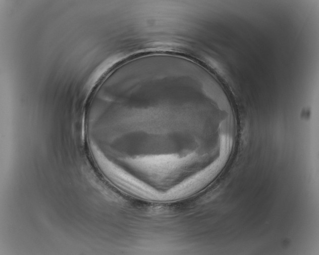 X0000113221275200910011336