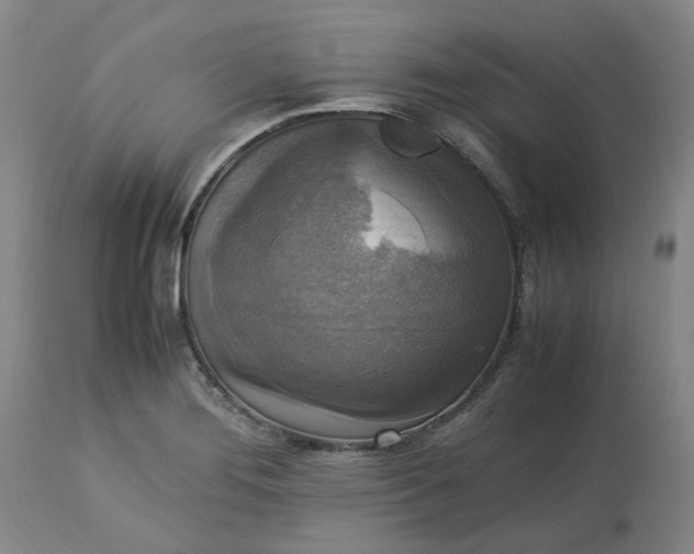 X0000113221276200910011336