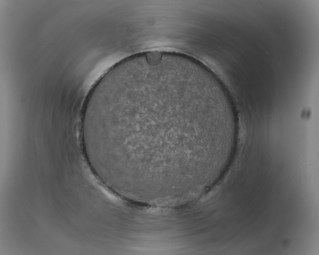 X0000113221277200910011336